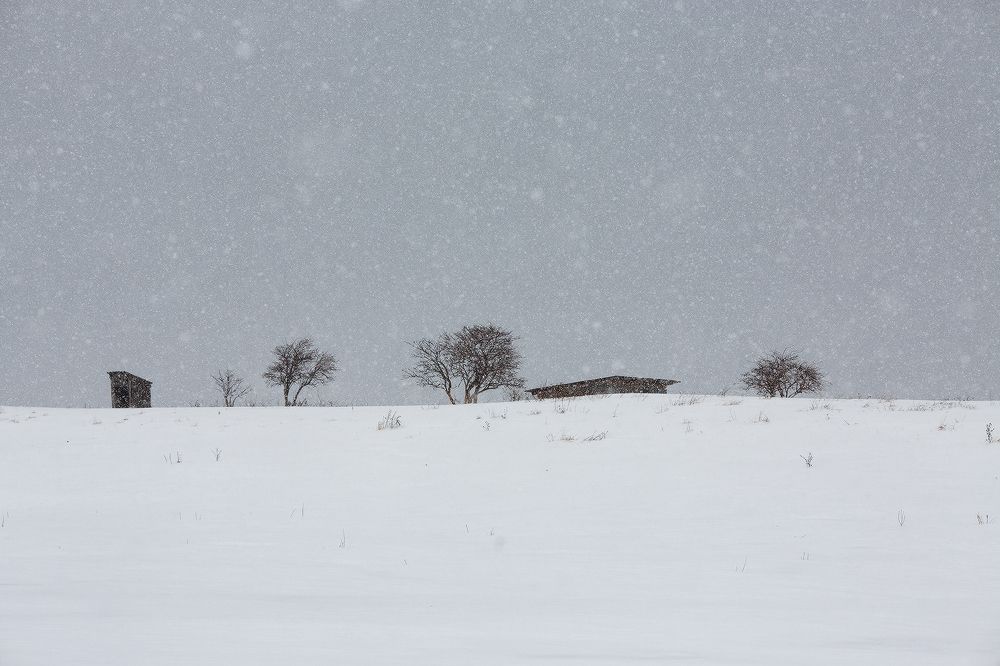 Графика зимы