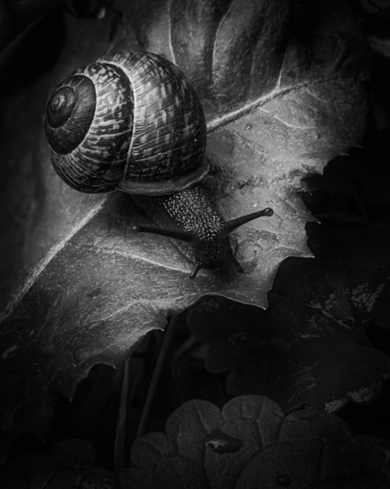 Photograph by Дарья Макаревич