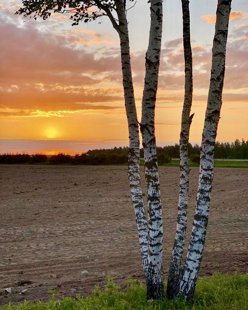 Photograph by Лариса Акинчиц