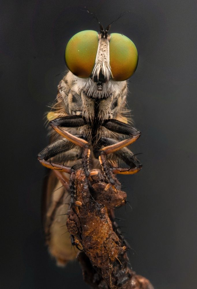 Photograph by Nicholas Ng