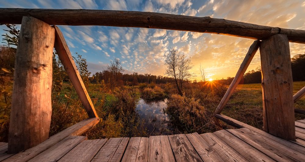 Photograph by Алексей Горохов