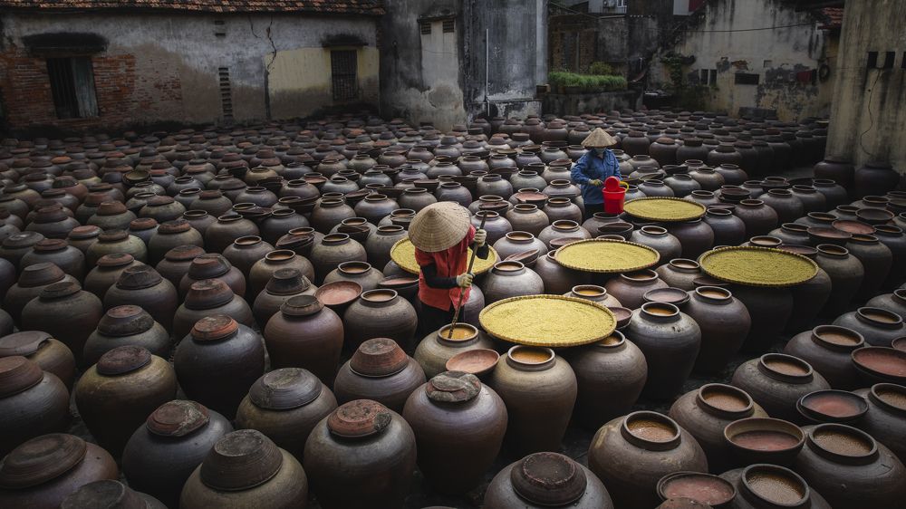 Photograph by Phong Hoang