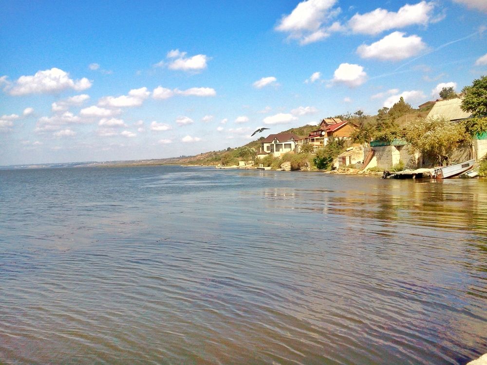 Photograph by Yurii Tofan