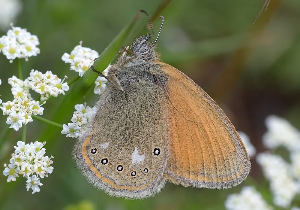 Photograph by Михаил Колтухов