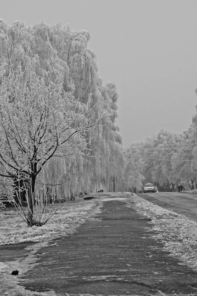 Зима природа пейзаж winter naturesa landscape