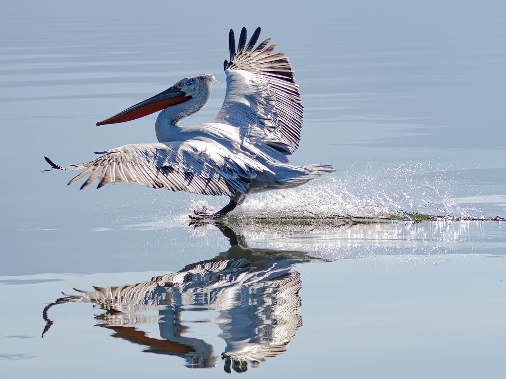 Photograph by Слави Котаров