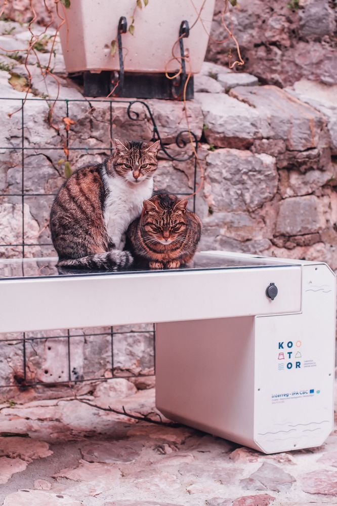 Photograph by Lana Soldatova