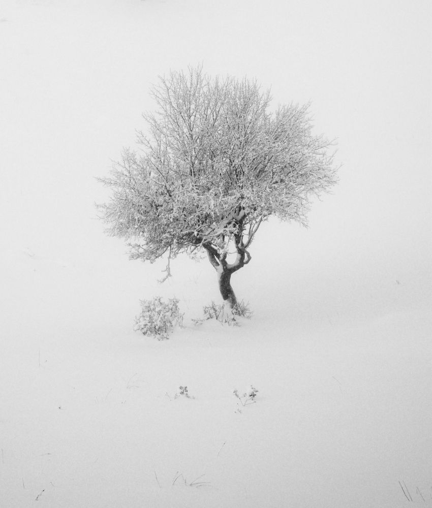 Photograph by ILIAS DIMITRIOU