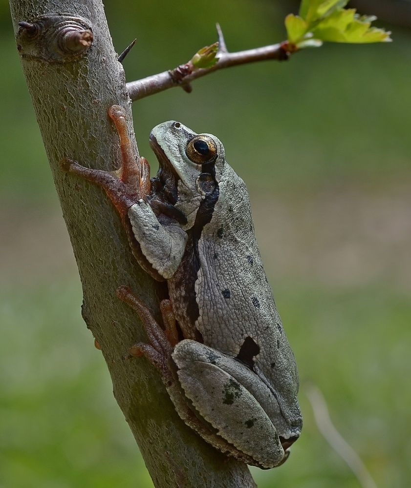 Photograph by Михаил Колтухов