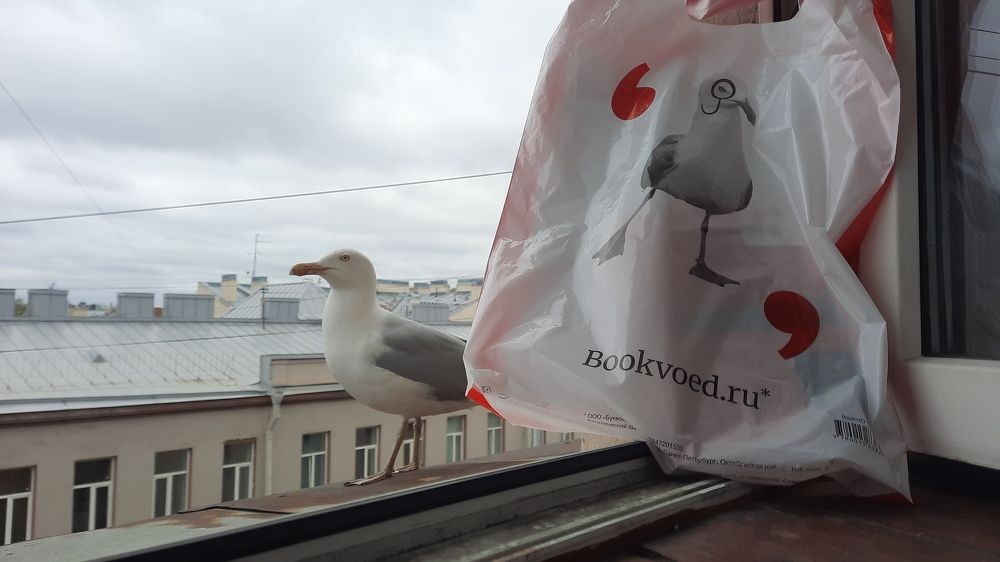 Фотография автора Наталья Белова