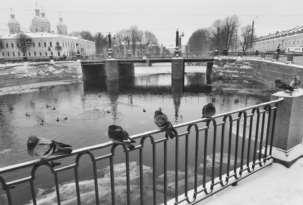 Фотография автора Наталья Белова