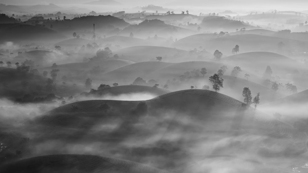 Photograph by Phong Hoang