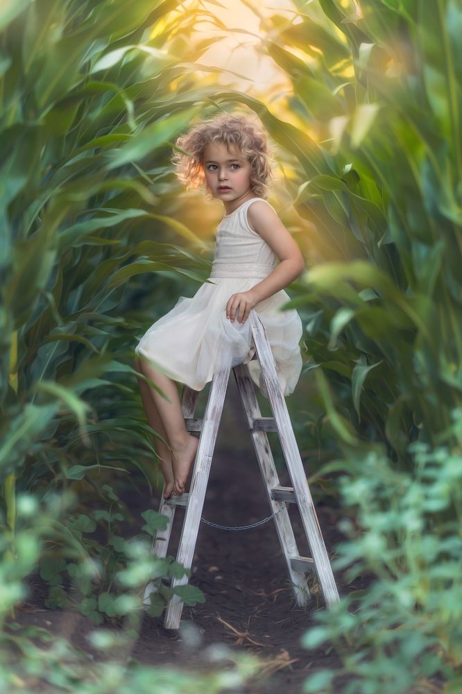 Photograph by Tahel Shenhav