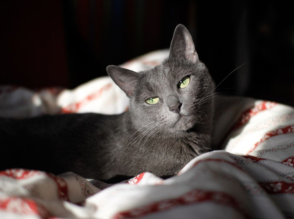 Photograph by Мария Гринёва