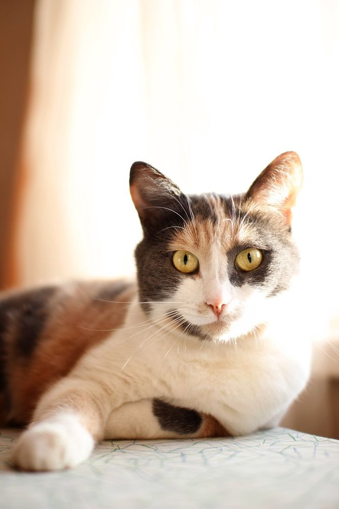 Photograph by Мария Гринёва