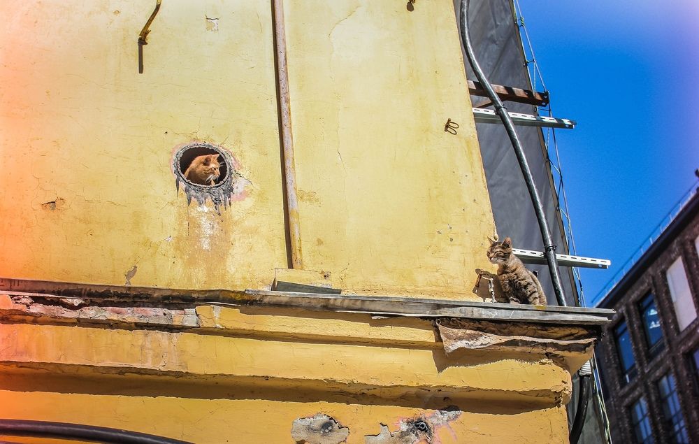 Photograph by Мария Гринёва