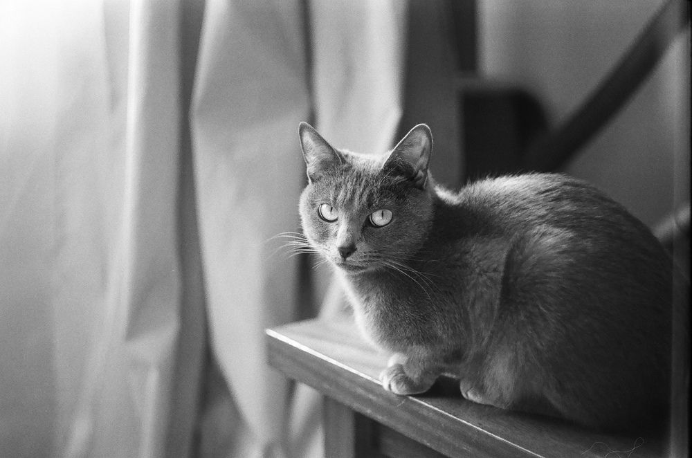 Photograph by Мария Гринёва