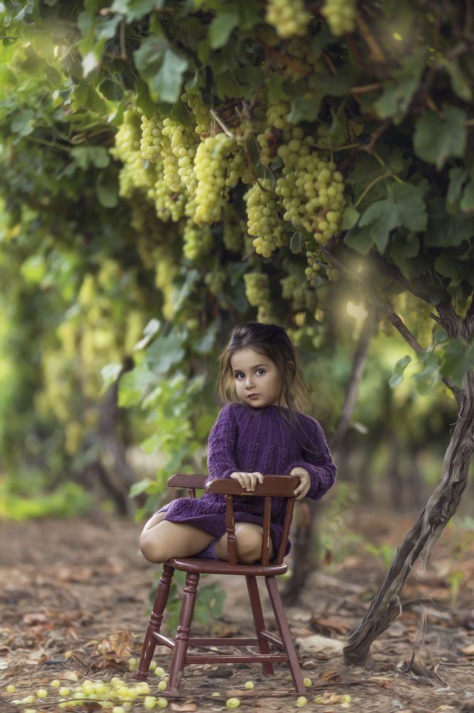 Photograph by Tahel Shenhav