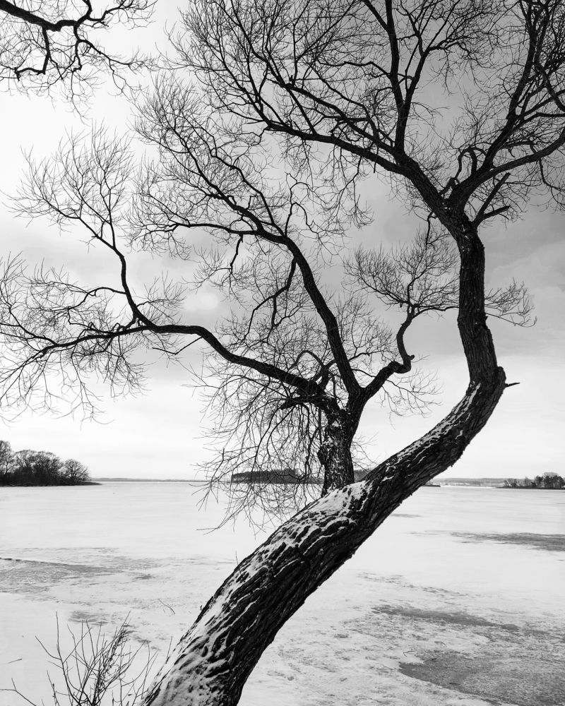 Зимний берег