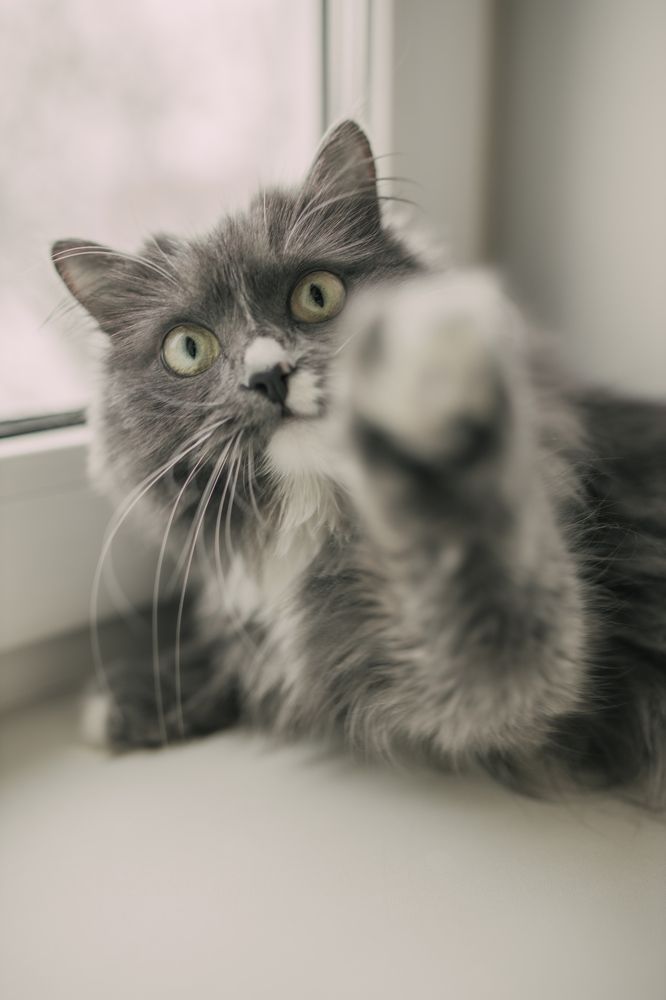 Photograph by Анна Март