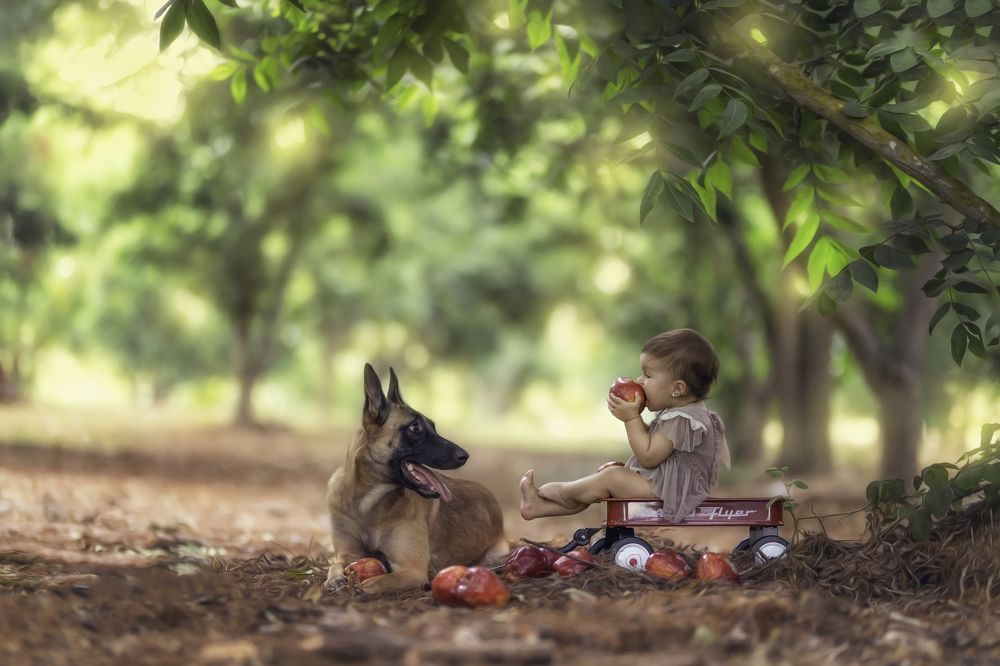 Photograph by Tahel Shenhav