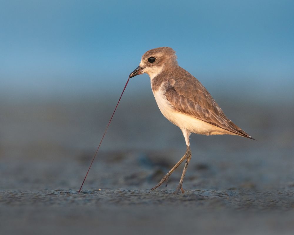 Photograph by Gunasekaran R