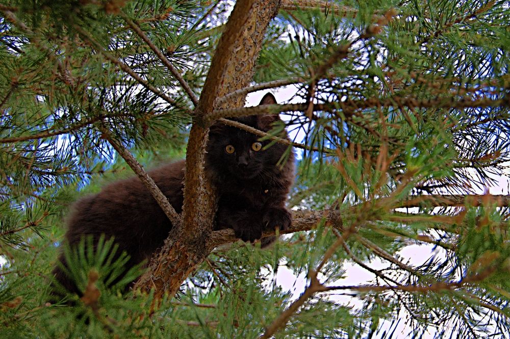 Photograph by Дмитрий Грысюк