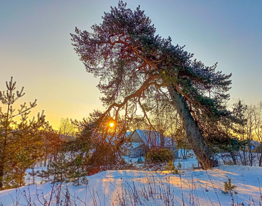 Фотография автора Михаил Урсус