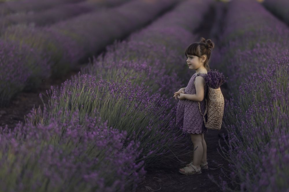 Exploring Lavender Fields