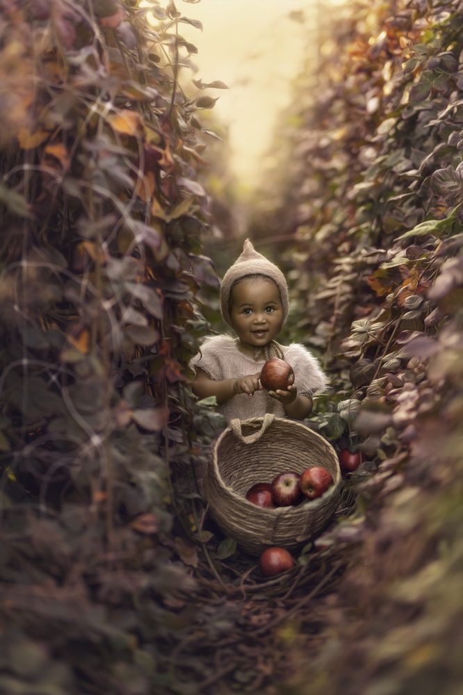 Little Explorer Among the Apples and Raspberries