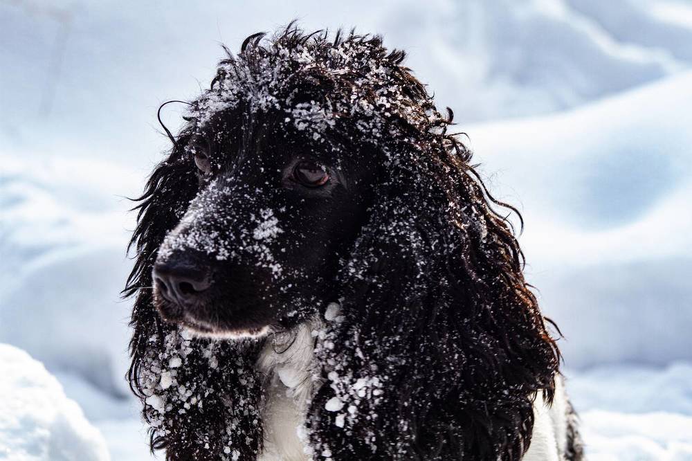 Photograph by Елизавета Мишина