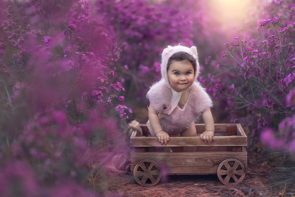 Photograph by Tahel Shenhav