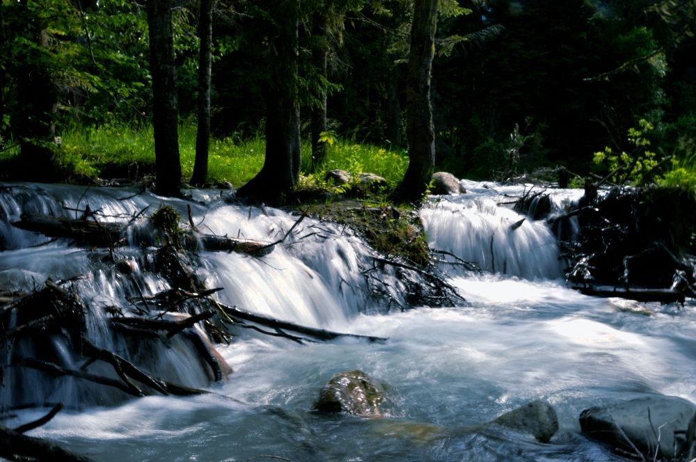 Photograph by Наталья Покрепина