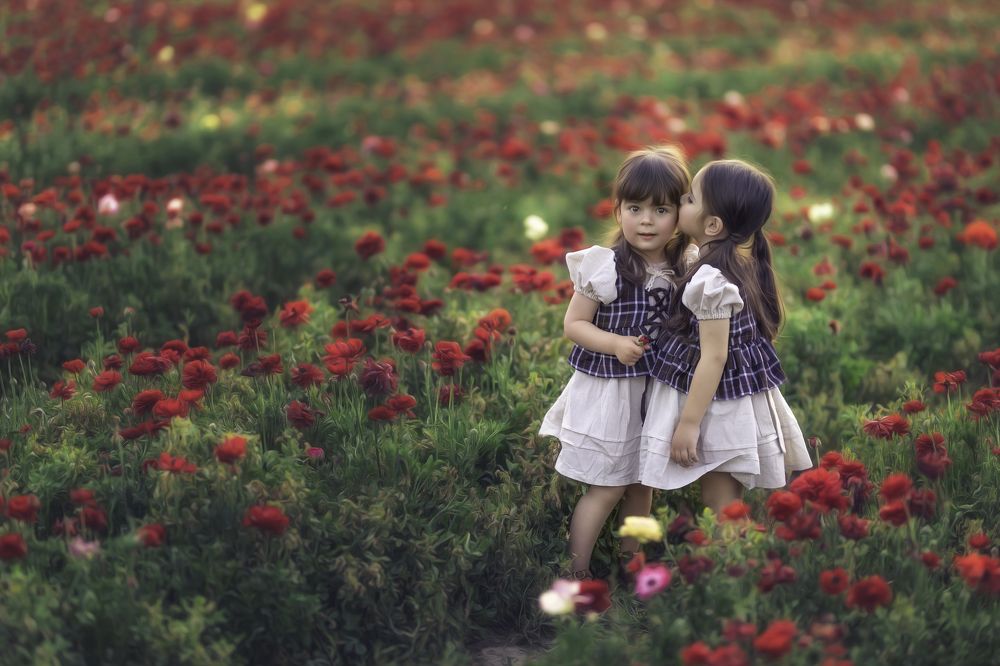 Photograph by Tahel Shenhav