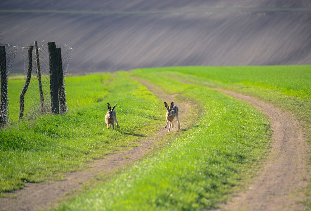 Photograph by Андрей Мозговой