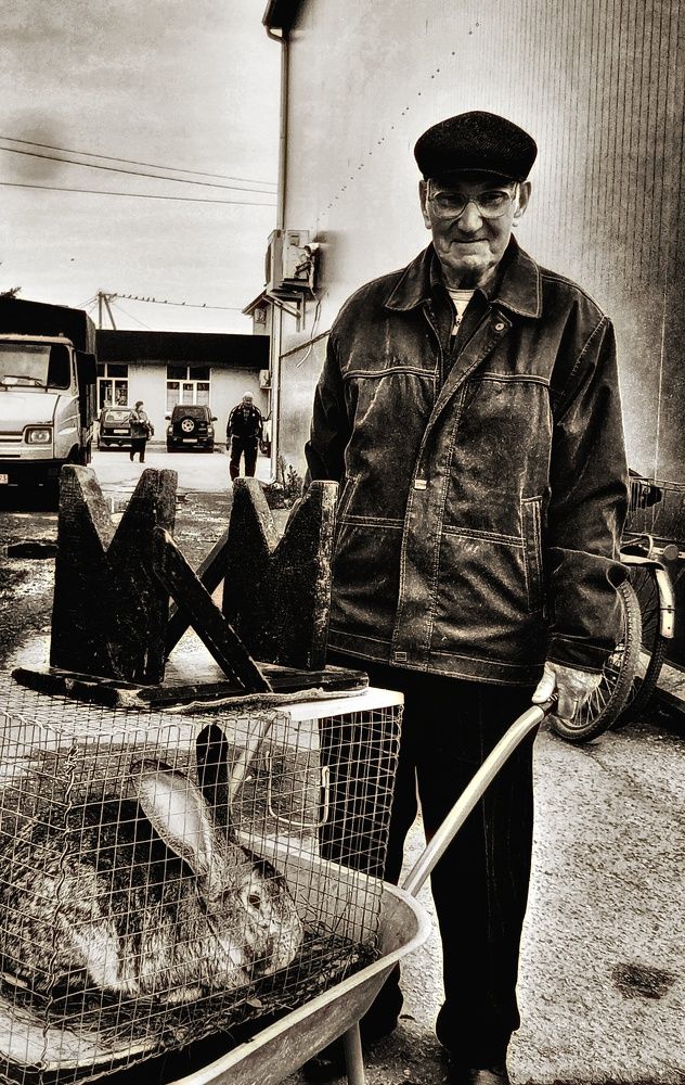 Photograph by Редько Александр