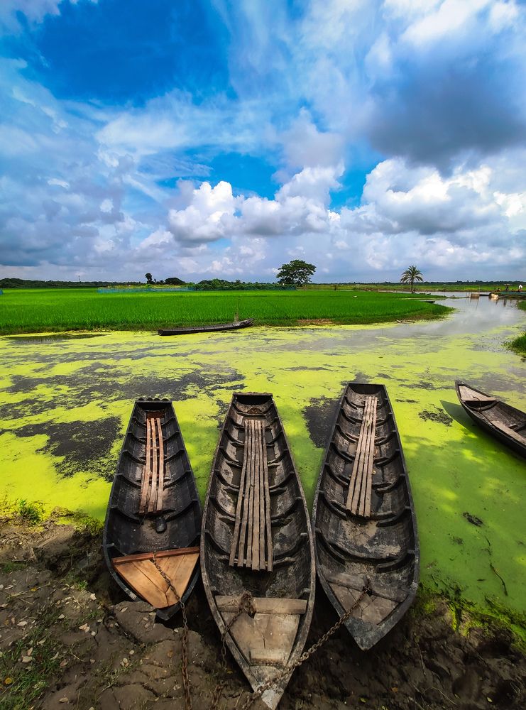 Photograph by Joy Mondal