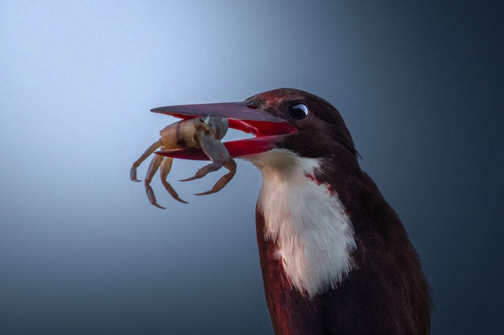 Photograph by Chaitanya Dudhalkar