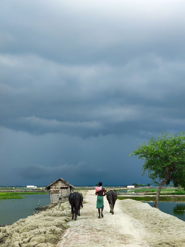 Photograph by Joy Mondal