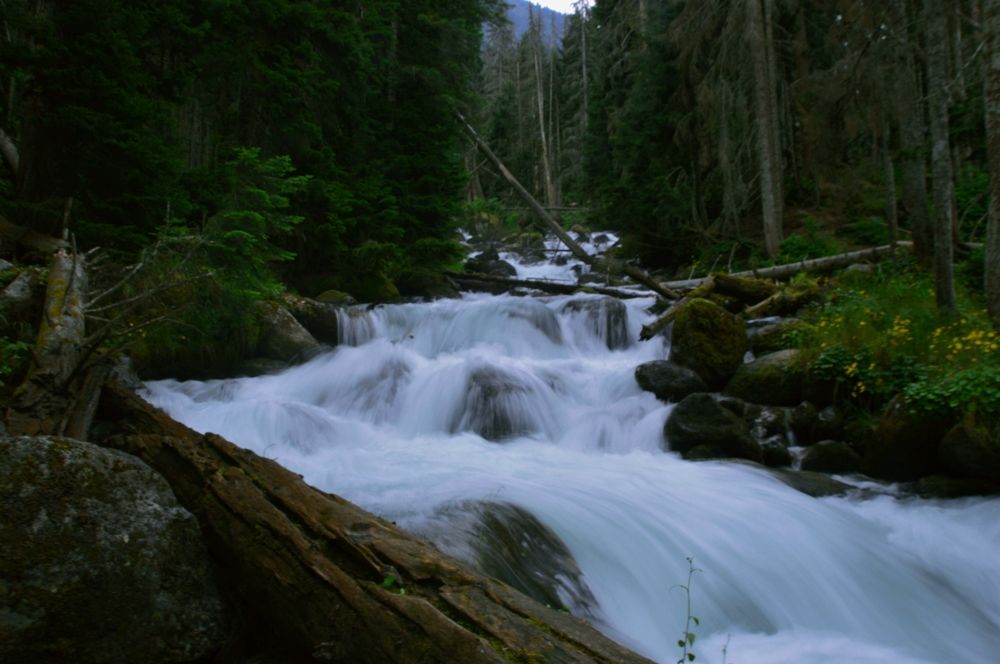 Photograph by Наталья Покрепина