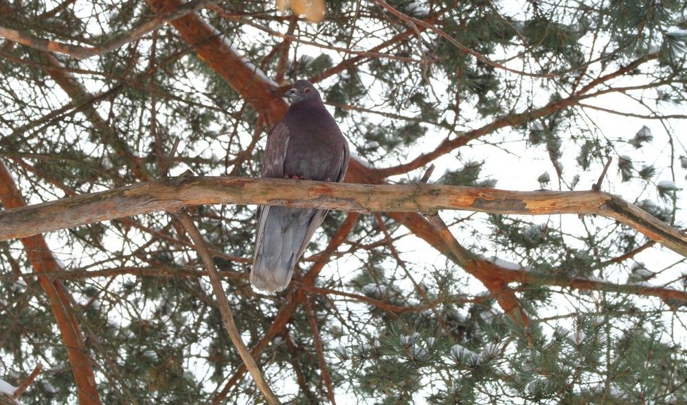 Photograph by Елизавета Мишина