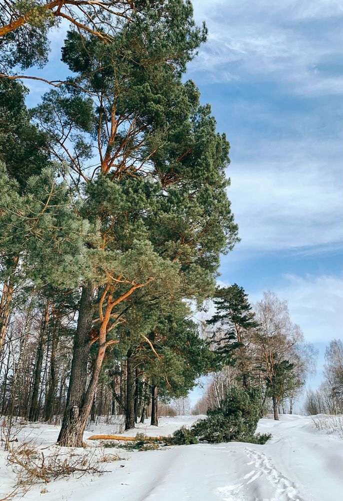 Photograph by Екатерина Фокина