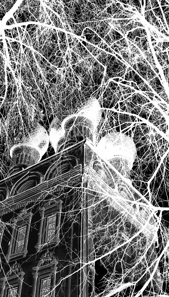 Photograph by Елена Алексеева