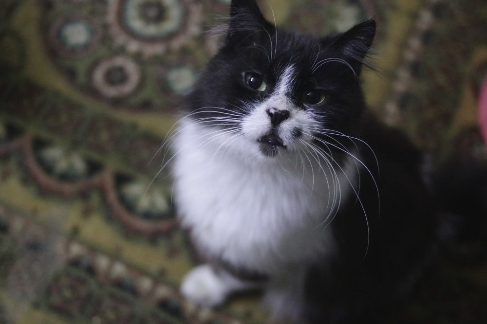 Photograph by Anna Turks