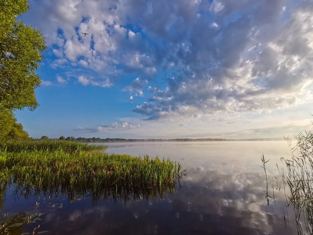 Photograph by Ульяна Рожнова