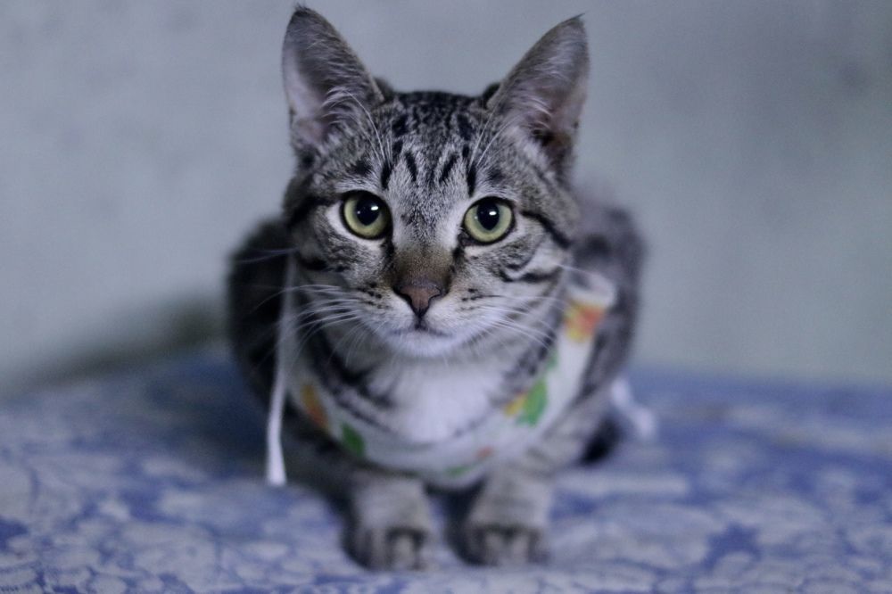 Photograph by Anna Turks