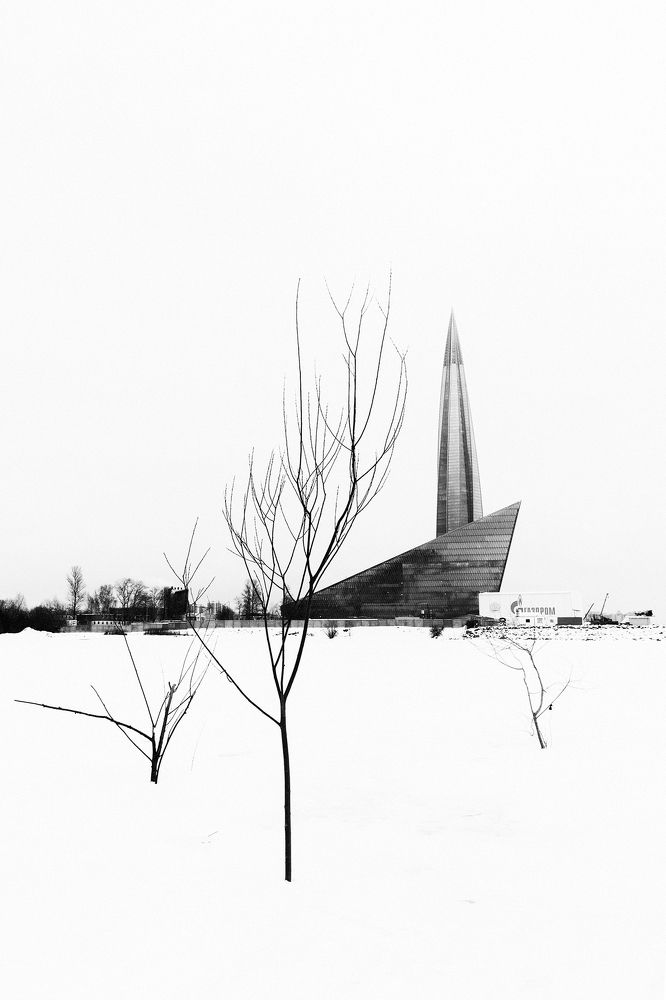 Photograph by Светлана Воробьёва