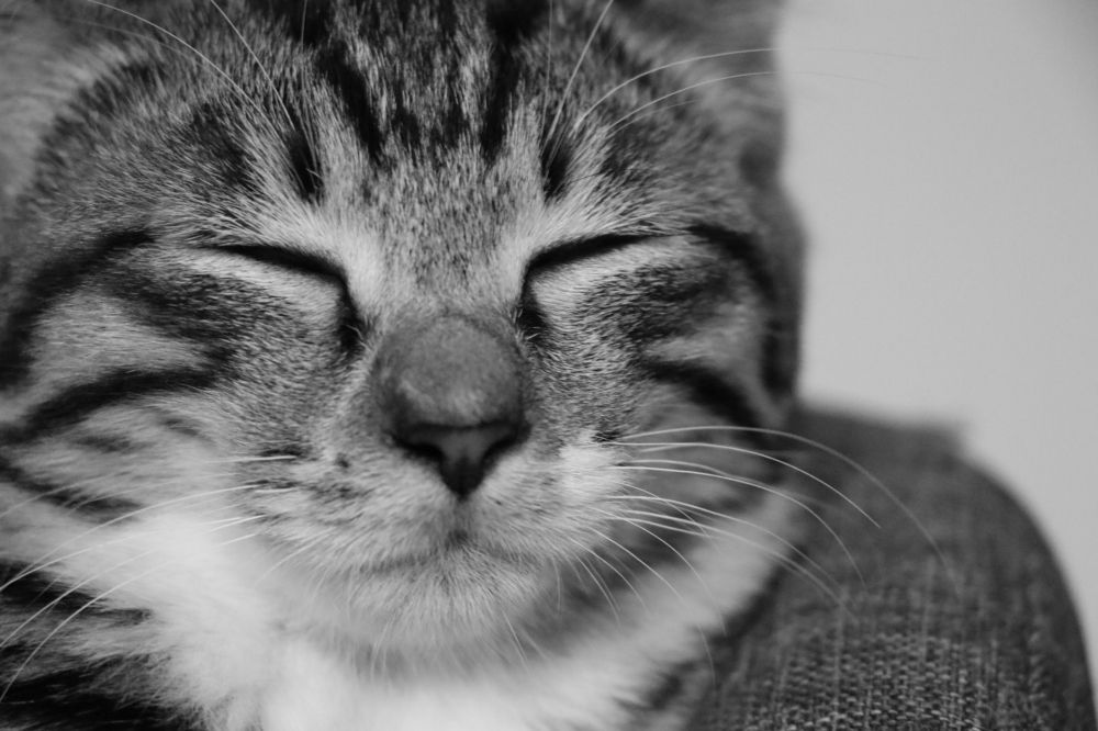 Photograph by Anna Turks