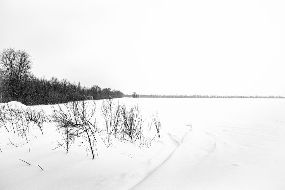 Photograph by Георгий Овсянников