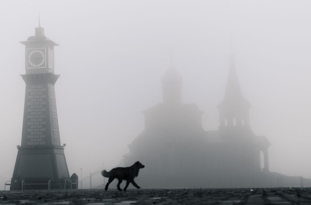 Photograph by Равиль Исмаилов